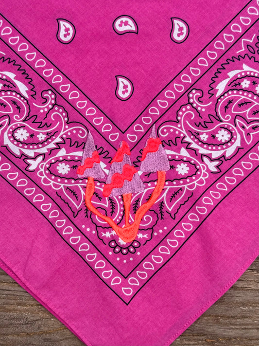 Bandanas bordadas