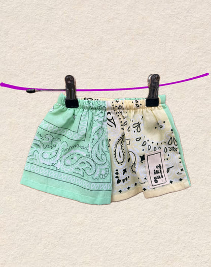 Iki shorts (1 año)