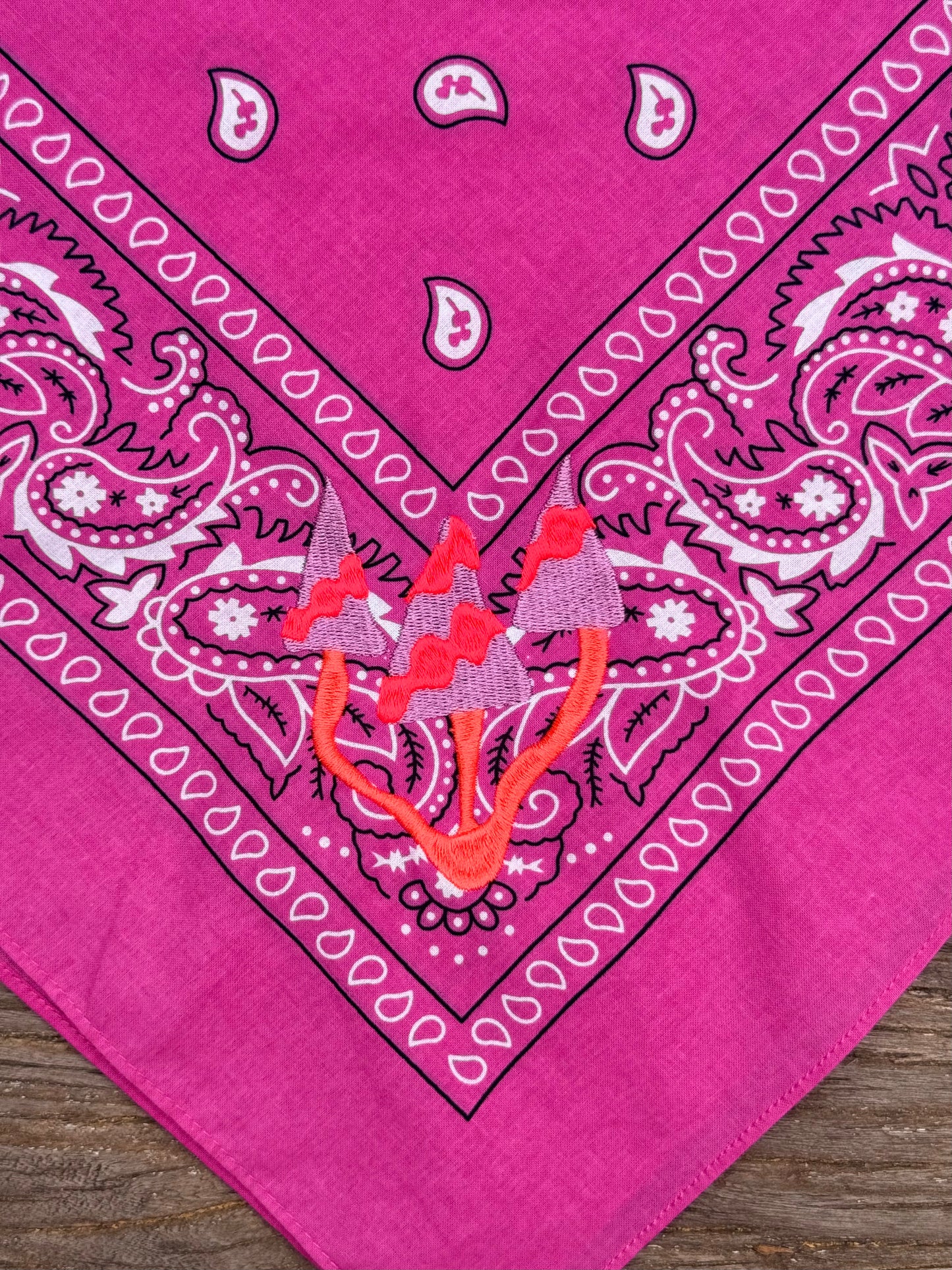 Bandanas bordadas